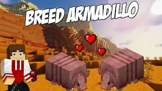 How to Breed Armadillos in Minecraft