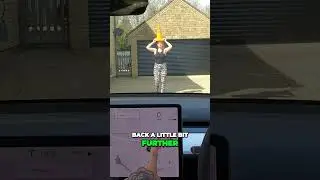 Wife with a Cone VS ai Self Driving Car! #tesla #ai #fsd #autopilot #cone