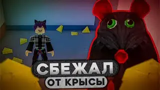 FINALLY ESCAPED FROM THE RAT🥳. Roblox Cheese escape 2