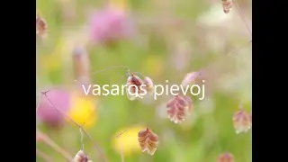 RELAX, VASAROS PIEVOJ ,SUMMER MEADOW - STARt