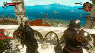 Witcher Wild Hund, Кровь и Вино, ведмачьи доспехи