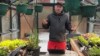 The joy of grow lights ~ costs | benefits | tips | my setup