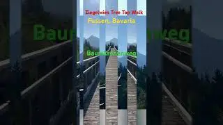 Walking On Treetop Trail In The Heart Of Fussen Germany  #shortsvideo