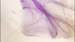 Digital emulsion lift