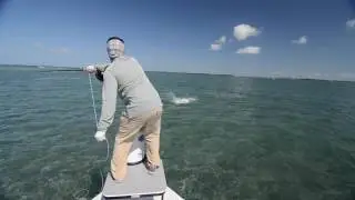 Fly fishing for Tarpon