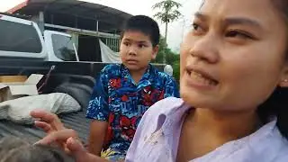 ยากำจัดหมัดและไข่หมัด ลูกสุนัข