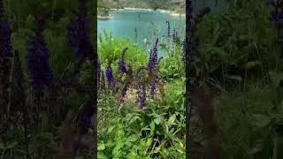 Горы)