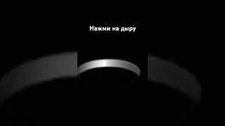 Нажми на дыру #cat #funny #подпишись