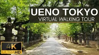 【4K】Ueno 上野 Walk + Walking in Ueno Park