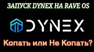 ЗАПУСК DYNEX НА RAVE OS | СТОИТ ЛИ МАЙНИТЬ ЭТУ МОНЕТУ СЕЙЧАС? | ПОЛОВИНА ХЕШРЕЙТА НА ПУЛЕ!