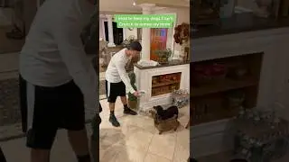 Dogs Trying Cereal For The First Time Ends In Disaster