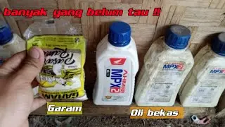 Kenapa gak dari dulu tau !! Garam dan Oli bekas bisa jadi secanggih ini !!