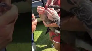 PLEASE clean up after yourself! & clean up any trash you see!❤️🦆