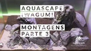 Aquário Plantado Iwagumi - Montagens Parte 3 - Hardscape - Intermediário