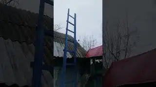 Скворцы прилетели!) Красиво поют)