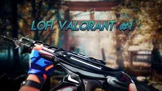 Destroying in VALORANT with ANY AGENT (with notes)