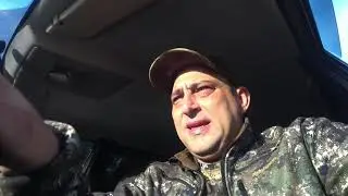 Охота на перепела