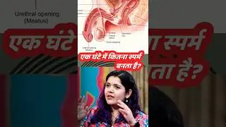 one hour me kitna sperm banta hai best explanation