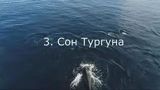 Сны пограничных клиентов. 3. Сон Тургуна