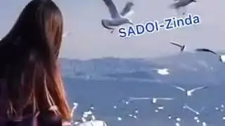 Sadoi Zinda - Нодида мерам