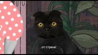 Как не бояться грозы? | Кот Бублик