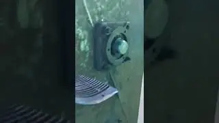 Гарбузовий комбайн мого підписника.