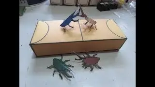 Batle Beetle Box