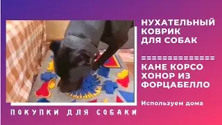 Нюхательный коврик для собак 🐕. Кане корсо Хонор из Форцабелло