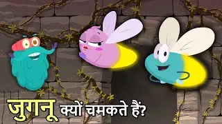 जुगनू क्यों चमकते हैं? | Why Do Fireflies Glow In Hindi | Fireflies | Dr. Binocs Show