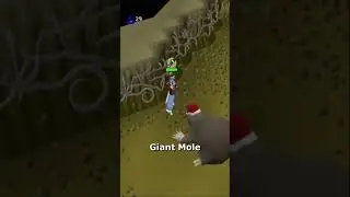 Best Beginner Bosses in OSRS 👾
