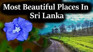 Most Beautiful Places In Sri Lanka