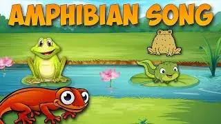 Amphibian Song