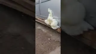 ремонт порогов своими руками без сварки