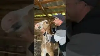 натёр морду пацан