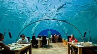RESTAURANTES MAIS CAROS DO MUNDO