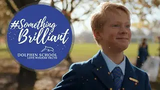 Dolphin School- Something Brilliant