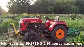 Міні трактор ШИФЕНГ 244 копка картоплі.  Відео від власника