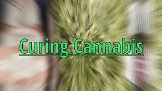 Potency Power Up!! Curing Cannabis to Increase Potency. SuperCharge Your Cannabis Potency in Curing.