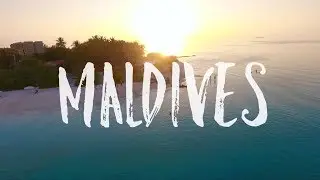 Мы нашли! Лучшее место для бюджетного путешествия на Мальдивах - Bibee Maldives, Диффуши.