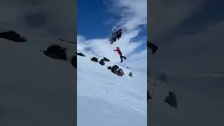 это же сальте мартале