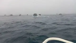 Шрі Ланка, регата в погоні за китом