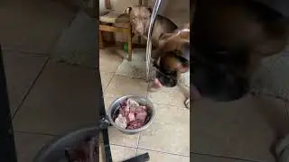 Выдержка перед едой