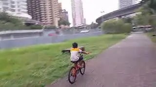 মালয়েশিয়ার মেট্রো রেল