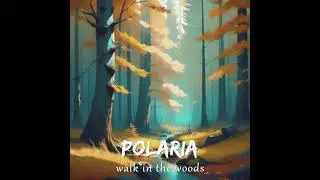 Polaria - Walk in the Woods