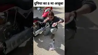 cooking bacon on my bike |chicken tandoori | chicken Biryani | #shorts #chiken @mrfactsduniya