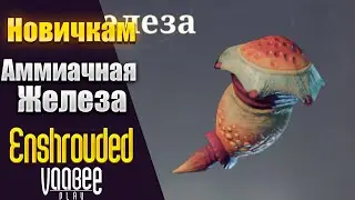 Enshrouded : Как и Где Найти Амиачная Железа | Гайд НОВИЧКАМ🔥