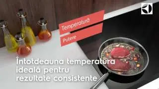 Electrolux Senzor ProFry - Flanco.ro