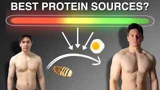 Best Protein Sources For Muscle Growth | Protein Sources Explained