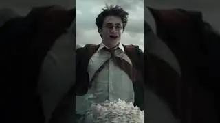 Harry Potter- In This Shirt edit (irrepressibles)