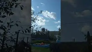 Говно или топ